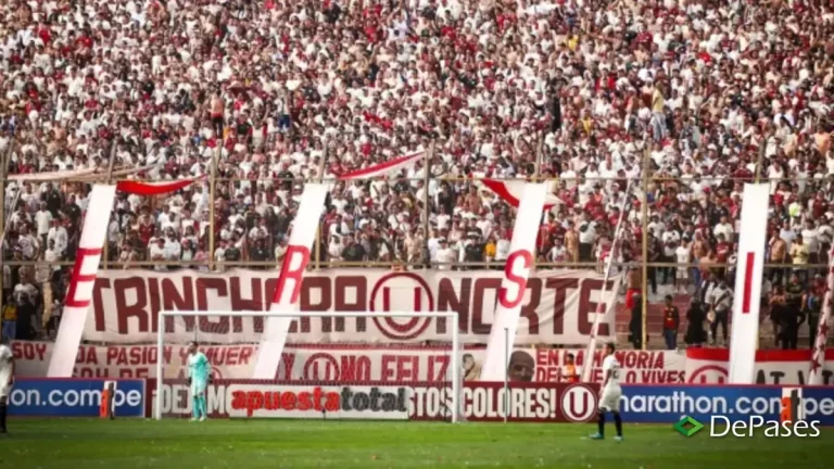 Hinchada